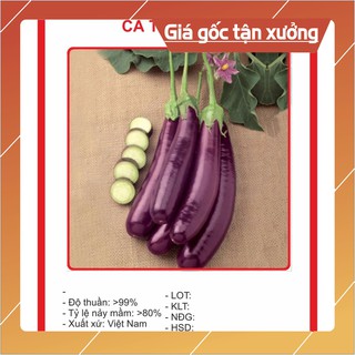Hạt giống Cà Tím Dài F1 1gram Hạt giống