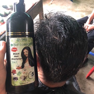 DẦU GỘI NÂU ĐEN TÓC PHỦ BẠC SELENA 500ml