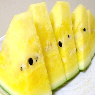 Hạt giống Dưa hấu ruột vàng Yellow Crunch Watermelon