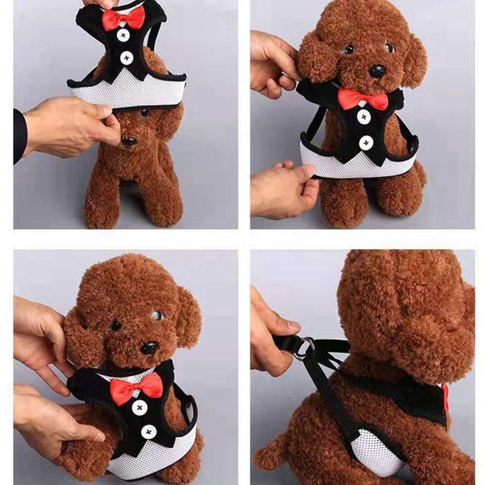 Đầm AUGUSTINA Thoáng Khí Kèm Dây Dắt Cho Thú Cưng Cỡ Nhỏ / Trung Bình / Mèo