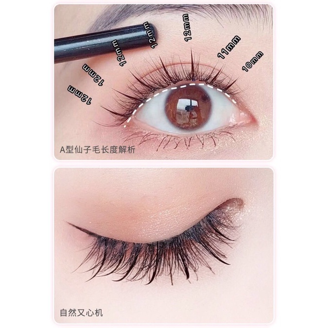 Mi Giả Tự Nhiên- Mi Rời Chùm Tự nối + Kèm Keo Dán