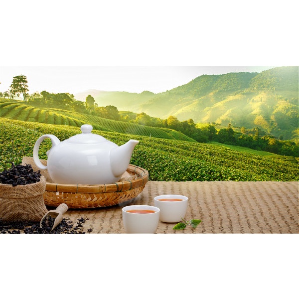 Trà Mu Nhật - Tăng cường đề kháng - Bịch