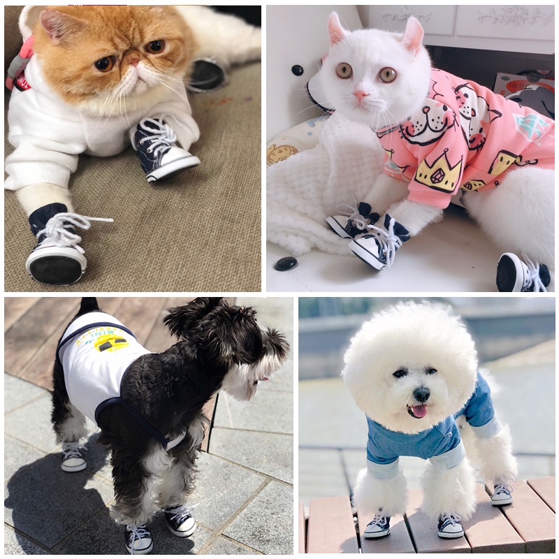 Giày MOLAMGO Thời Trang Cho Thú Cưng