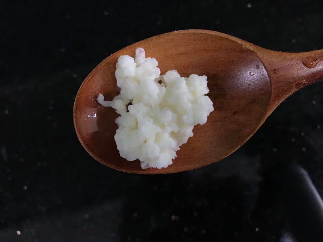 NẤM SỮA CHUA KEFIR TÂY TẠNG - BAO KHOẺ