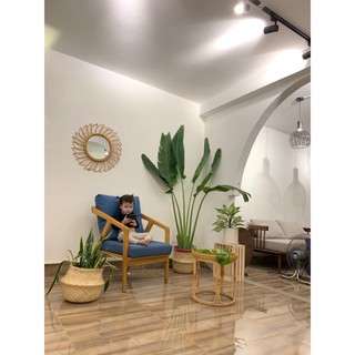 Giỏ cói, chậu cói trồng cây