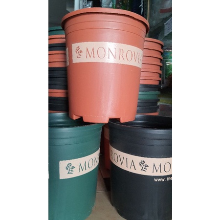 chậu MONROVIA 5GL trồng hoa hồng siêu đẹp đường kính 27cm
