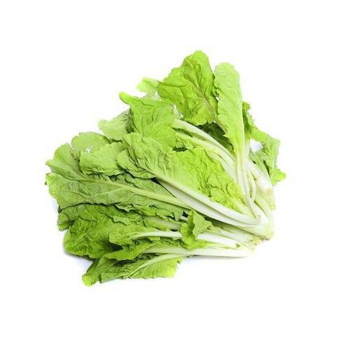 Hạt giống Cải Bẹ Dún 10gr trồng thùng xốp, thủy canh,...
