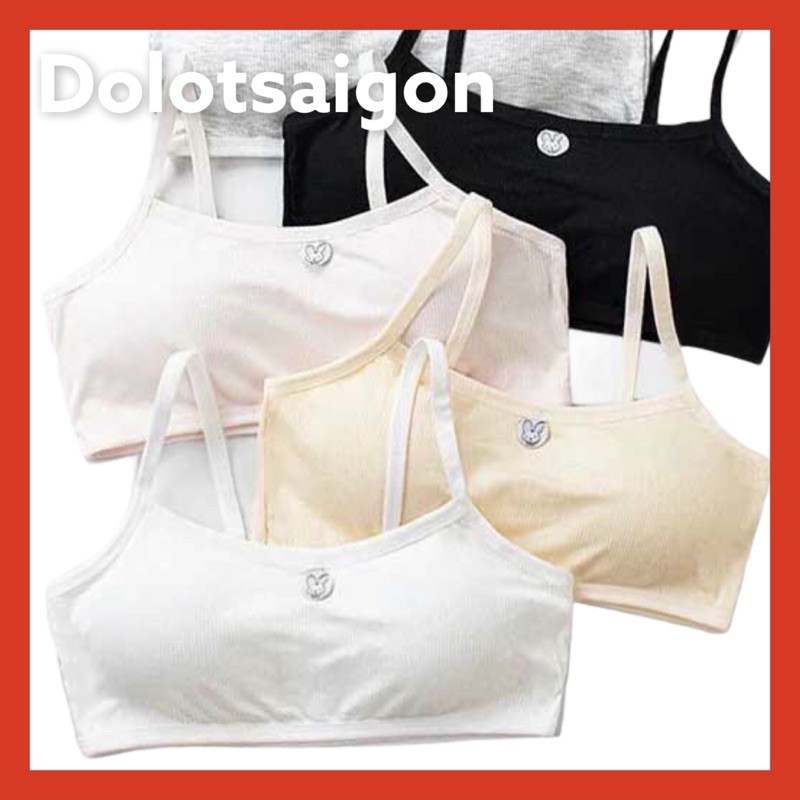 Combo 5 áo lá học sinh cấp 2,3
