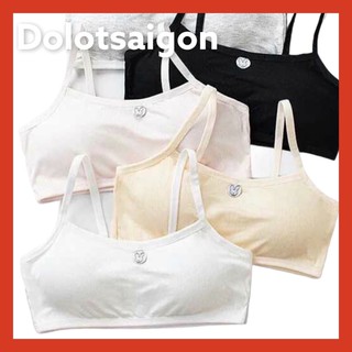 Combo 5 áo lá học sinh cấp 2,3
