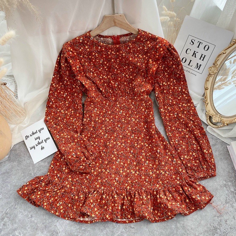 ĐẦM HOA NHÍ CỔ TRÒN CHÂN BÈO