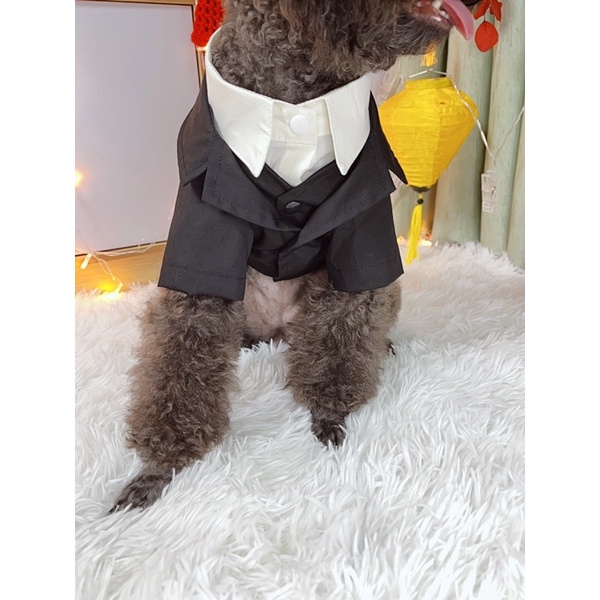 áo vest, áo gile cho chó mèo Dadipet(không gồm sơmi)