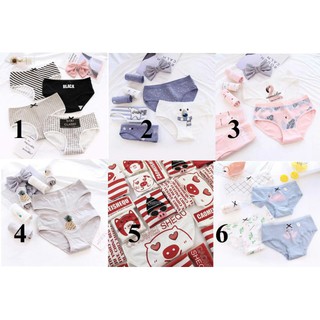 Combo 6c Quần Chip Nhật Siêu Xinh