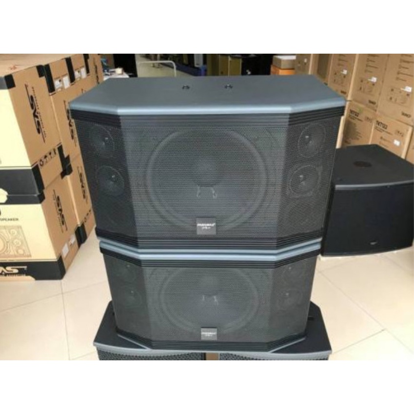 LOA-PARAMAX PRO C12