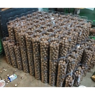 HẠT MẮC CA chất lượng Việt - 1000gr
