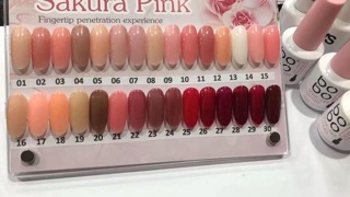 Thạch bobo. Nhắn mã.  Set ib