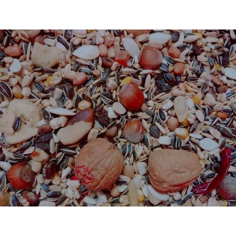 Hạt Exotic nuts cho Vẹt gói nguyên seal 750g