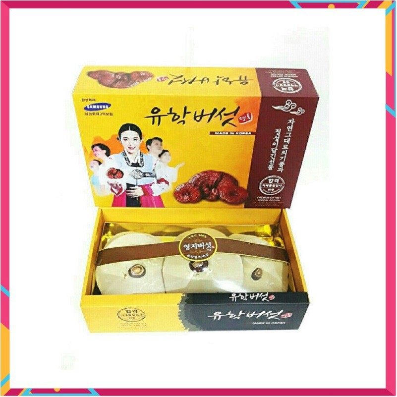 [ Hàng Chuẩn ] Nấm Linh Chi Hàn Quốc, Hộp Hình Cô Gái, 1 Kg, Bụng Nấm Màu Vàng Thường, Giúp Giải Nhiệt Thải Độc Cơ Thể