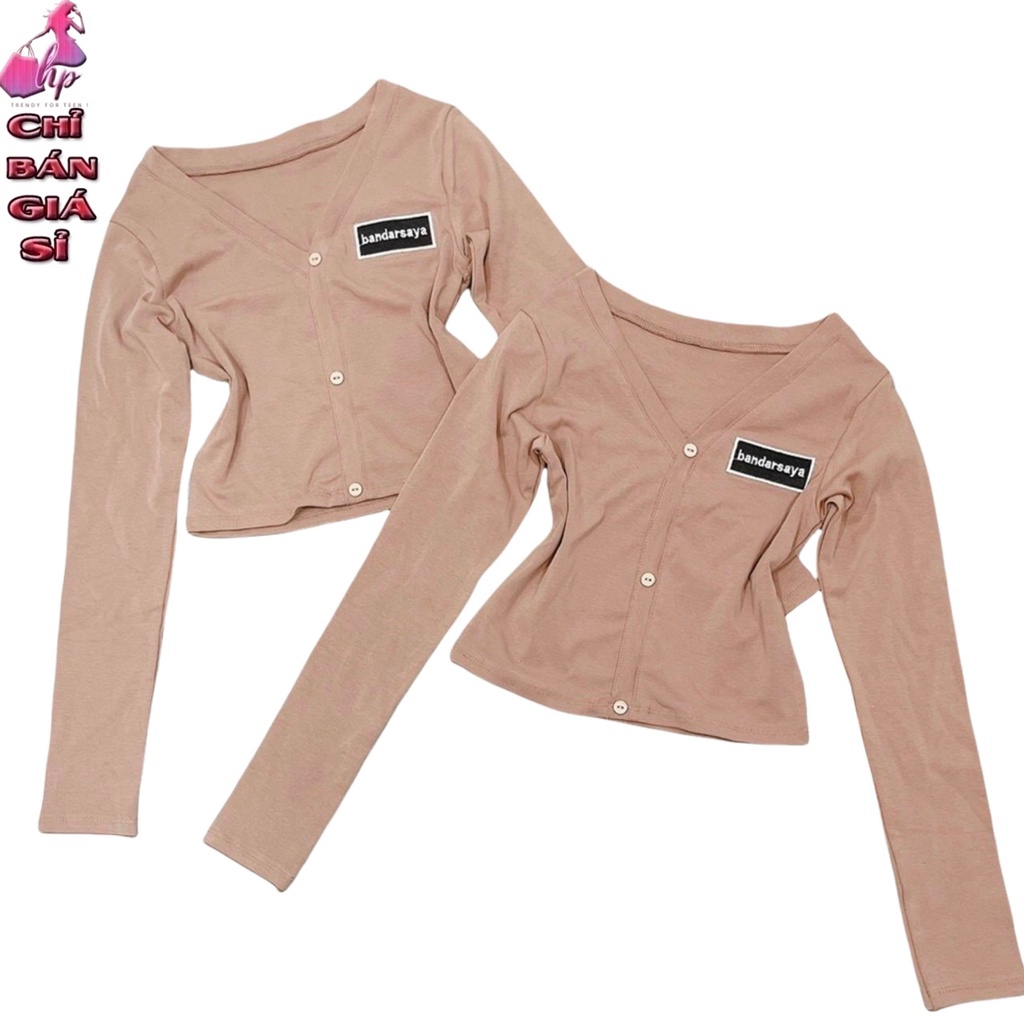 áo thun croptop nữ đẹp ôm body cổ chữ V dài tay thêu mẫu mới thời trang 2021