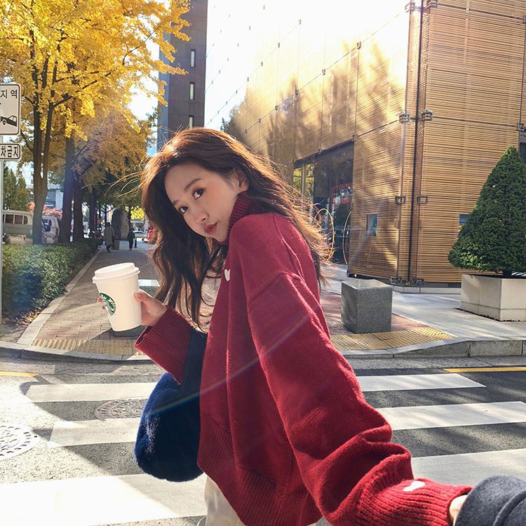 Áo Sweater Tay Dài Cổ Lọ Thời Trang Thu Đông Cho Nữ | BigBuy360 - bigbuy360.vn