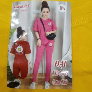 (65kí -72kí ) Đồ Bộ Tay Ngắn Quần Dài Thun Cotton Thái Nữ Quỳnh Anh
