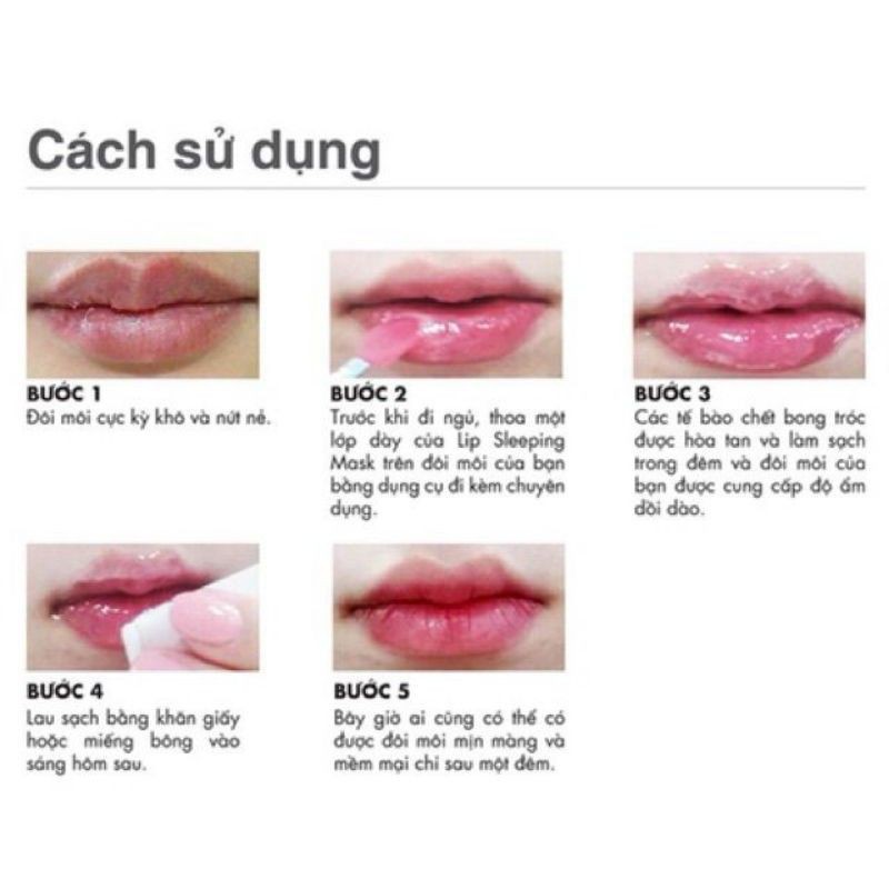 Mặt nạ ngủ môi Lip Sleeping Mask mini 3g