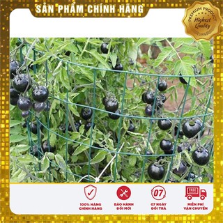 -40K COMBO 06 LOẠI RAU QUẢ SẠCH