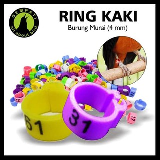 Vòng Kẹp Chân Magie 4mm Mới Nhất