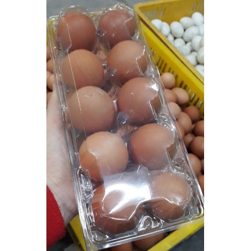 Trứng gà đỏ  khay 10 quả