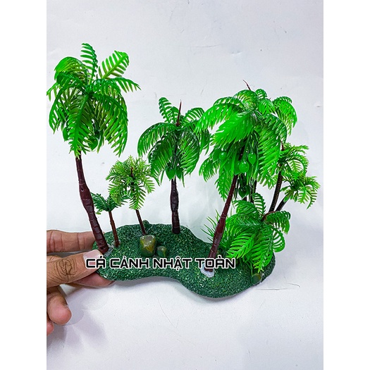 CẢNH DỪA TRANG TRÍ HỒ CÁ NON BỘ 17x6x16cm