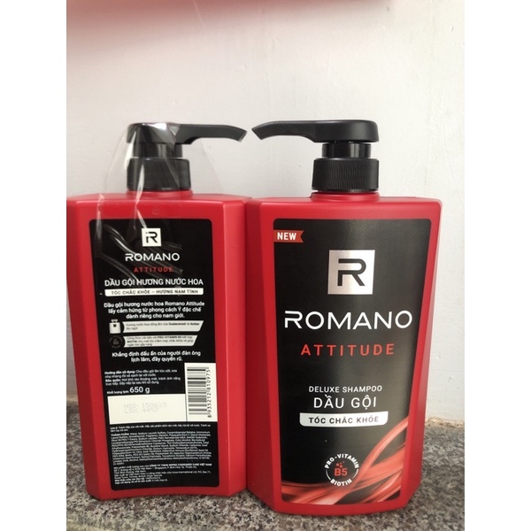 Dầu Gội Cao Cấp Cho Nam Romano 650g các loại