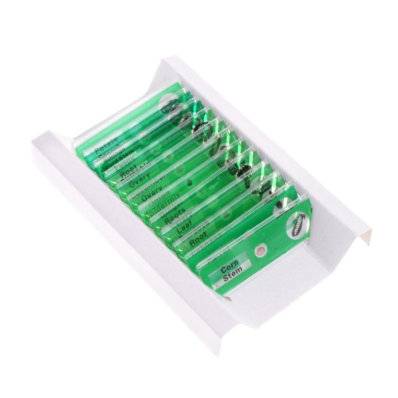 Bộ 12 Mẫu Vật Chương Trình Kính Hiển Vi Cho Học Sinh