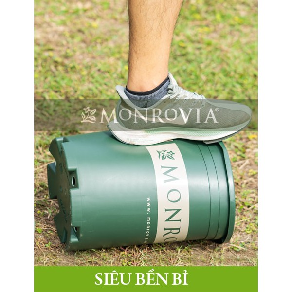 Chậu nhựa trồng cây Monrovia 1 gallon chính hãng, siêu bền, màu sắc đẹp [ Nhập mã DuongAnh1 giảm 10% đơn từ 50k ]