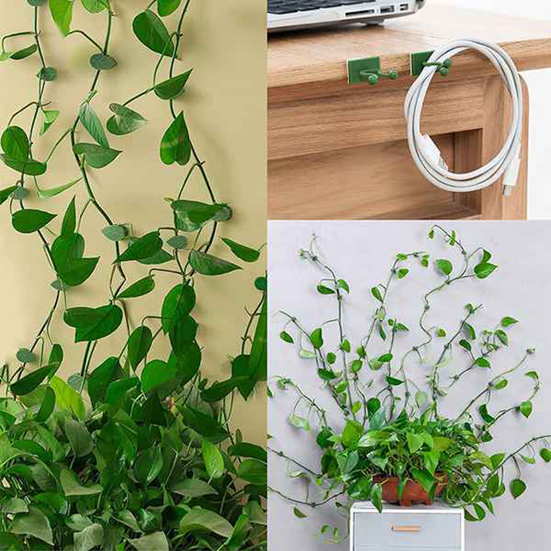 Set 80 Kẹp Cố Định Cây Dây Leo Gắn Tường Trang Trí Nội Thất