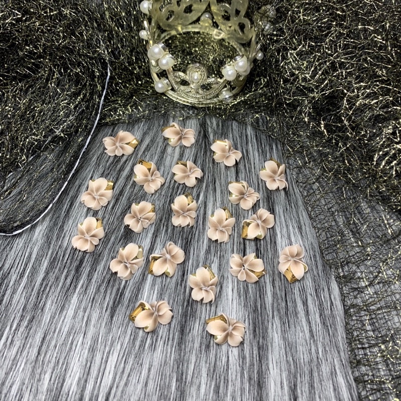 Hoa cúc bột góc tay trang trí móng