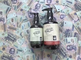 Combo Dầu gội gừng