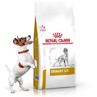 [Chính Hãng] 2kg Thức ăn cho chó sỏi thận Royal Canin Urinary S/O Pháp