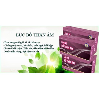 LỤC VỊ BỔ THẬN ÂM ( CHÍNH HÃNG )