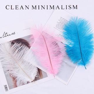 Lông vũ chụp hình sợi lông mềm mịn nhiều màu xinh xắn