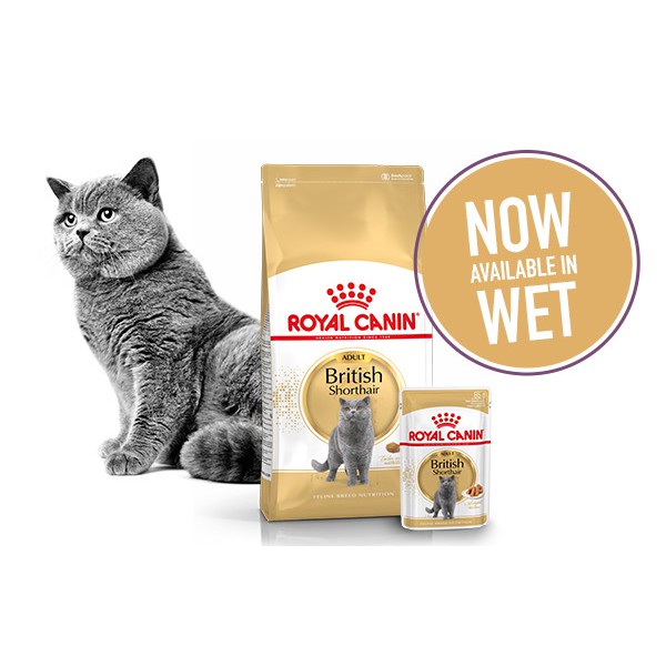 400g Hạt Royal Canin British Shorthair Adult dành cho mèo Anh Lông Ngắn trên 12 tháng tuổi