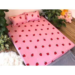 SÉT GA GỐI POLY COTTON XUÁT HÀN