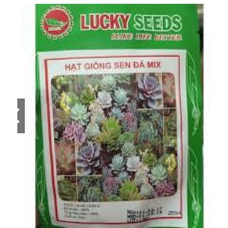 HẠT GIỐNG SEN ĐÁ MIX GÓI 20 HẠT