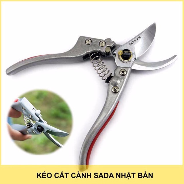 Kéo cắt tỉa cây cảnh SADA (Chính hãng Nhật Bản)