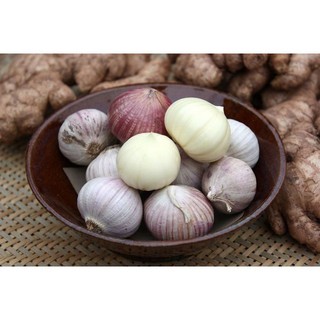 [FREESHIP 99K TOÀN QUỐC]  1,6 Kg Tỏi Cô Đơn