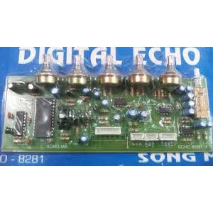 Board DIGITAL KARAOKE ECHO