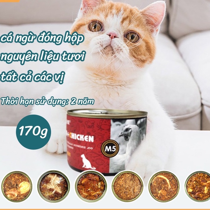 MASTI Hộp thức ăn dinh dưỡng cho mèo cưng 170g li0079