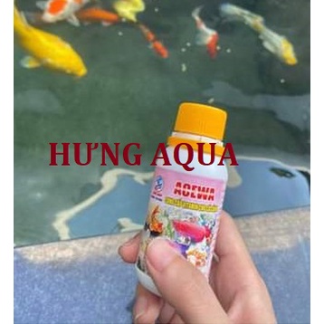 Bổ sung Vitamin cho cá mùa nắng nóng, dưỡng chất cho cá cảnh giúp cá khỏe mạnh, tăng đề kháng, nhanh lớn, chống stress