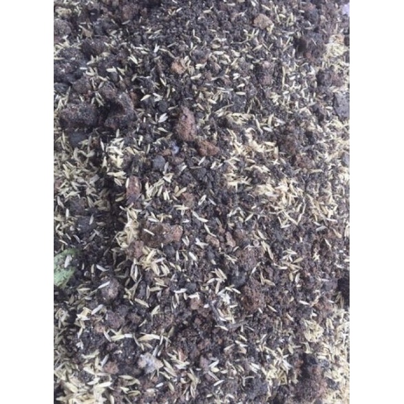 Combo 5kg đất sạch giàu dinh dưỡng trồng rau, hoa, cây cảnh