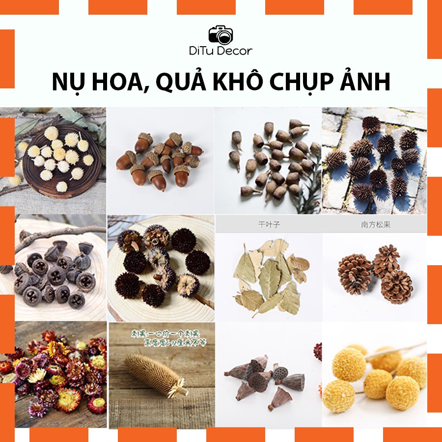 Nụ hoa khô, quả khô chụp ảnh, decor trang trí, làm đồ handmade sáng tạo - Ditu Decor