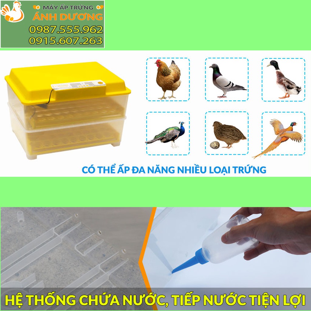 - Máy ấp trứng Ánh Dương A100 - Ấp tự động 54 trứng - Tặng kém thuốc úm gà+ bình châm nước