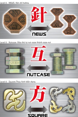 Giải mã sắt Nhật (Hanayama Cast Puzzle)